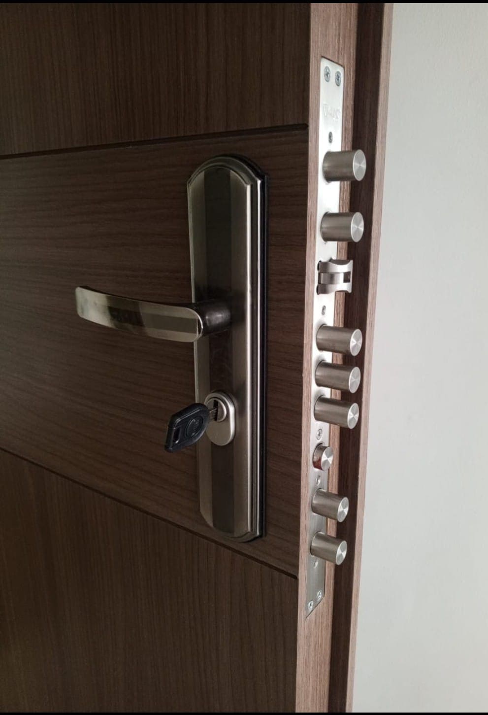 Puerta de Seguridad